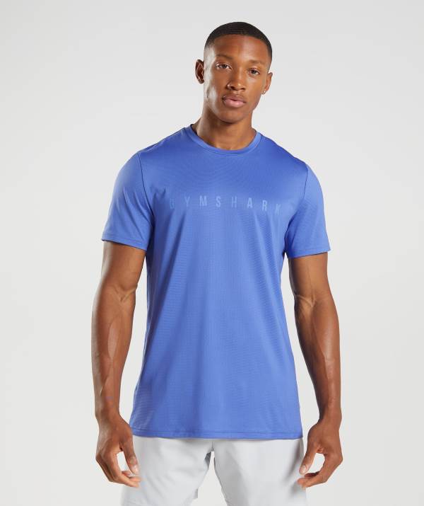 Panske Tricka Gymshark Sport Stripe Modre | SJ3780542
